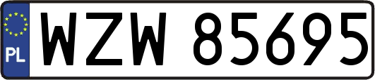 WZW85695