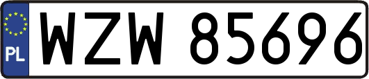 WZW85696