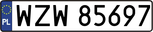 WZW85697