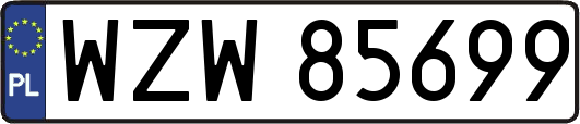 WZW85699