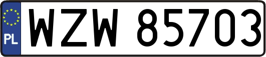 WZW85703