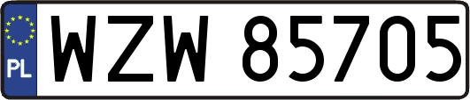 WZW85705