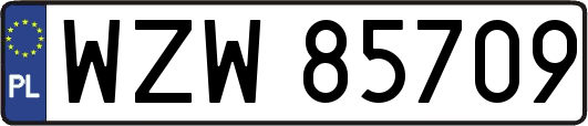 WZW85709