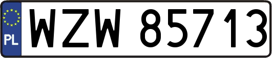 WZW85713