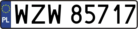 WZW85717