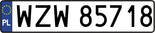 WZW85718
