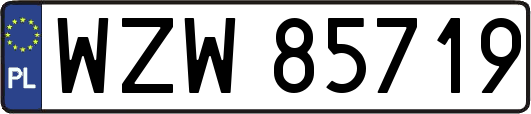 WZW85719