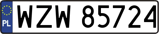 WZW85724