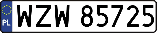 WZW85725