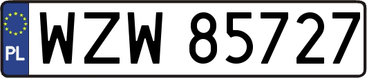 WZW85727
