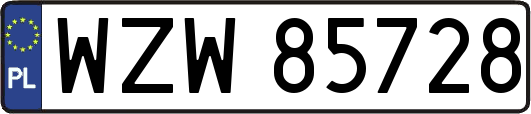WZW85728