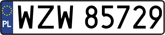 WZW85729