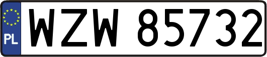 WZW85732