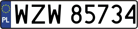 WZW85734