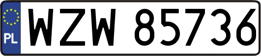 WZW85736