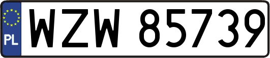 WZW85739