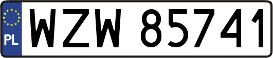 WZW85741