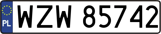 WZW85742