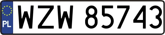 WZW85743