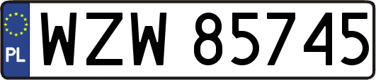 WZW85745