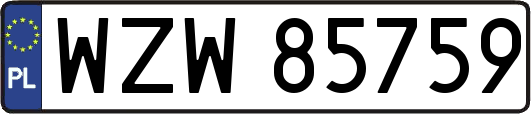 WZW85759