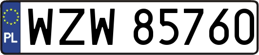 WZW85760