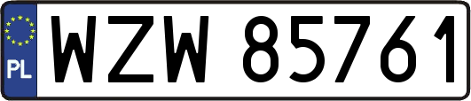 WZW85761