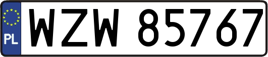 WZW85767