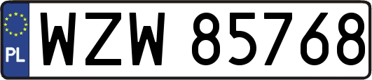 WZW85768