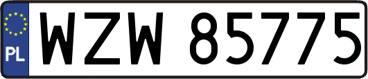 WZW85775