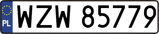 WZW85779