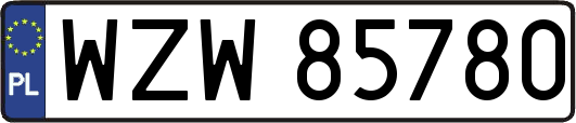 WZW85780