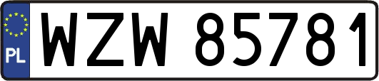 WZW85781