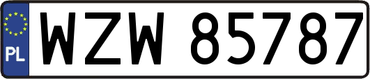 WZW85787