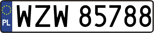 WZW85788