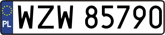 WZW85790
