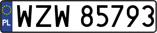 WZW85793