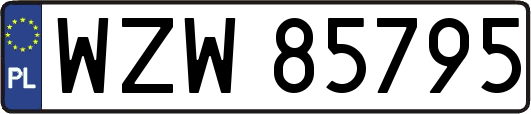WZW85795