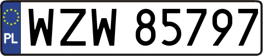 WZW85797