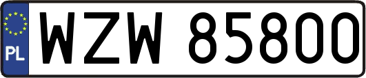 WZW85800