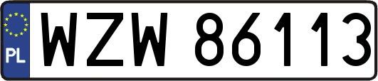 WZW86113