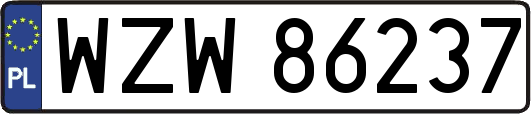 WZW86237