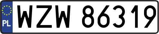 WZW86319