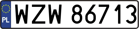WZW86713
