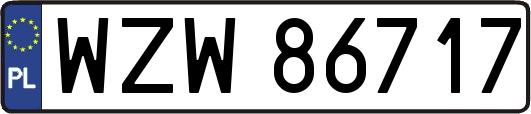 WZW86717
