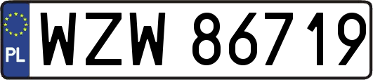 WZW86719