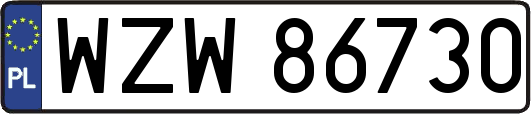 WZW86730