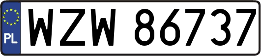WZW86737