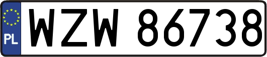 WZW86738