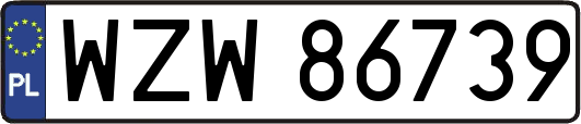 WZW86739